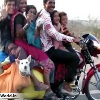 Funny Bike Overloading in India Pictures