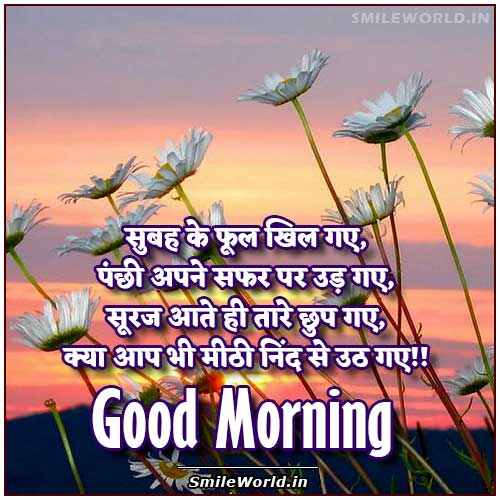 Kya Aap Bhi Meethi Nind Se - Good Morning Shayari in Hindi