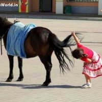 Cute Kids Funny Horse Photos for Whatsapp