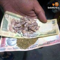 500 and 1000 Rupee Notes Jokes for Facebook