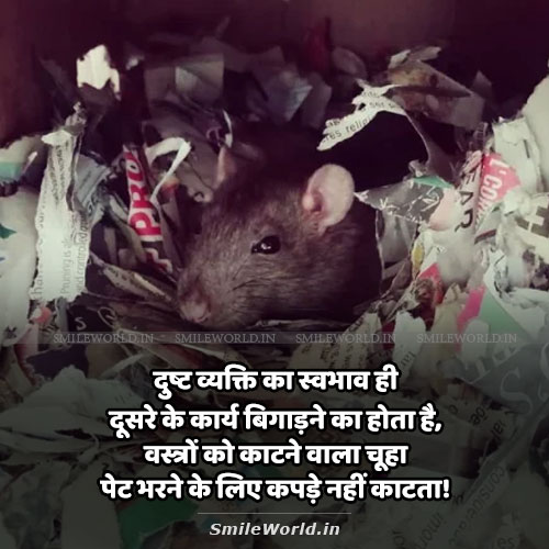 Dust Viyakti Evil Person Quotes in Hindi Status Dust Viyakti Evil Person Quotes in Hindi Status