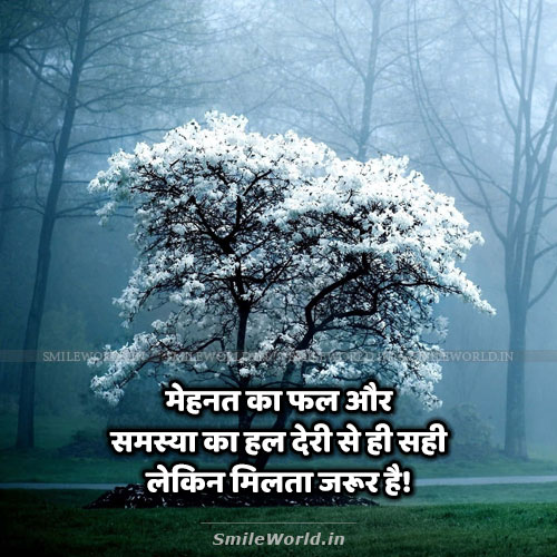 Mehnat Ka Fal Aur Samasya Ka Hal Quotes in Hindi Status Mehnat Ka Fal Aur Samasya Ka Hal Quotes in Hindi Status