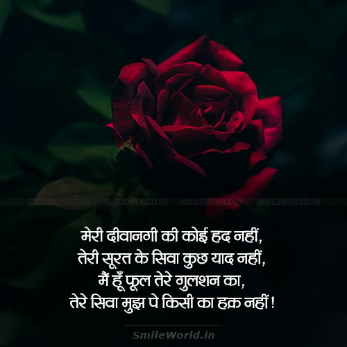 Tere Siwa Mujh Pe Kisi Ka Huk Nahi Love Shayari in Hindi Tere Siwa Mujh Pe Kisi Ka Huk Nahi Love Shayari in Hindi