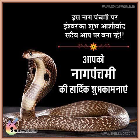 Nag Panchami Wishes Banner  Banner background images Nagpanchami banner  Positive quotes for life motivation