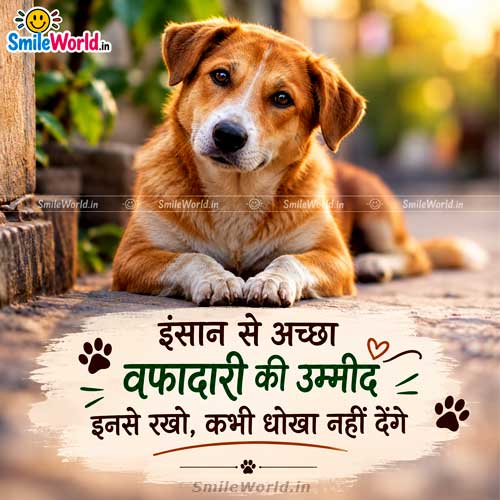 Insaan Se Accha Kutte Ki Wafadari Quotes in Hindi Status