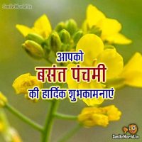 Happy Basant Panchami Pictures in Hindi Status