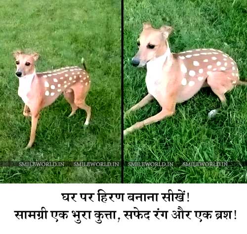 Funny Dog Hiran Drawing Jokes Memes in Hindi Images