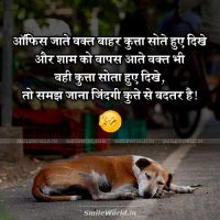 Kutta Sote Hue Dikhe Dog Sleeping in Street Zindagi Jokes in Hindi